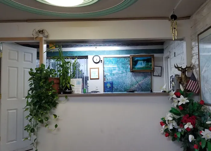 Gray Plaza Motel 2*